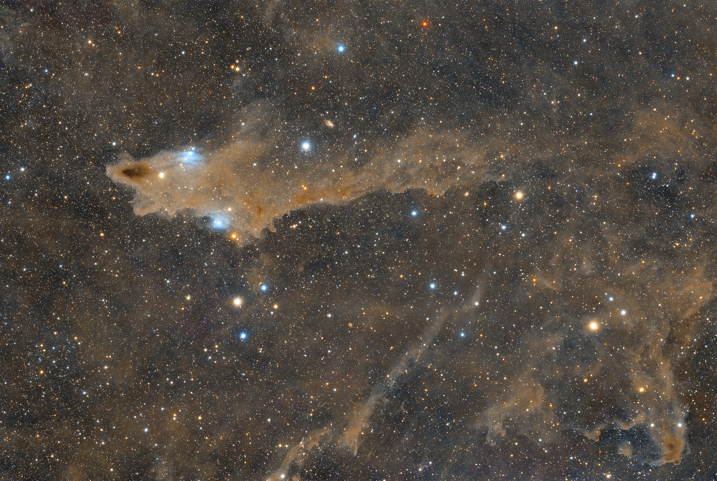 Titulo: Nebulosa del Tiburón